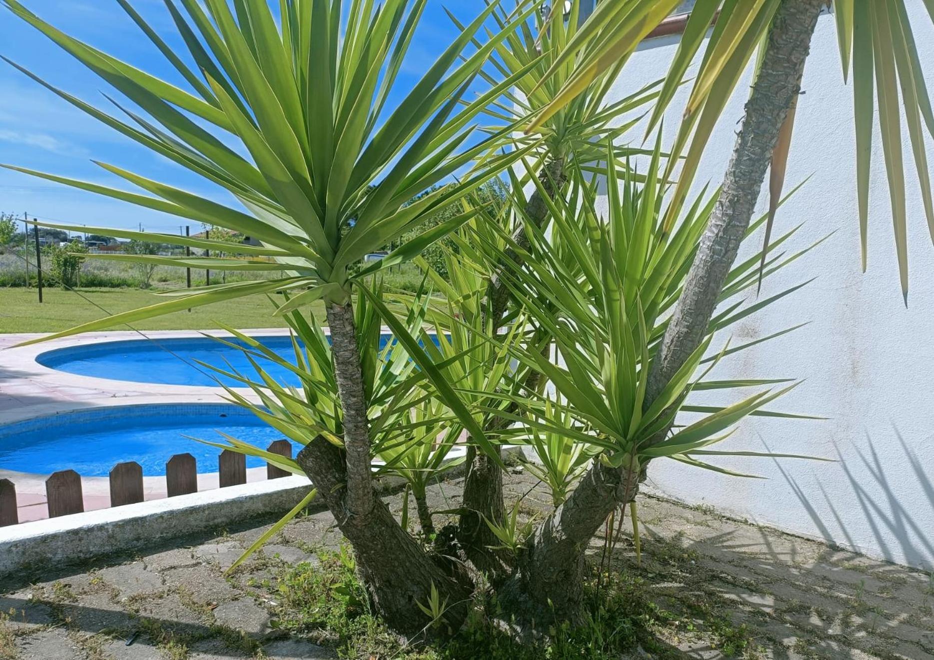 Casa Do Vale Hotel Évora Esterno foto